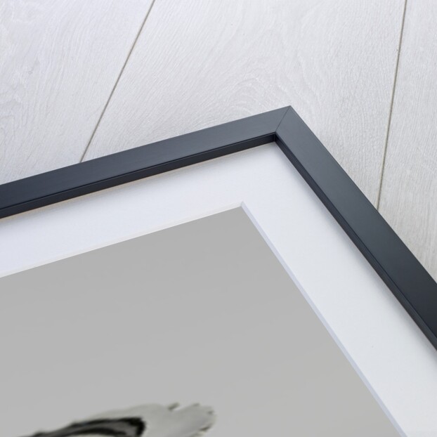 Spittoon by Anonymous