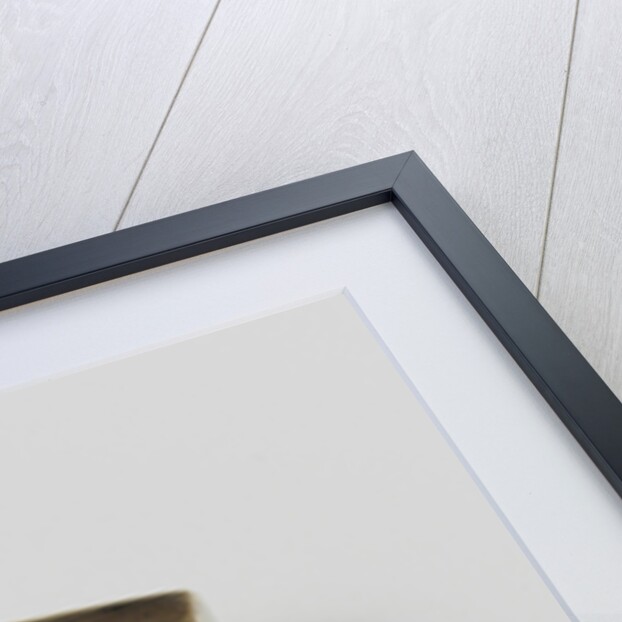 Spoon by B. Dellemijn