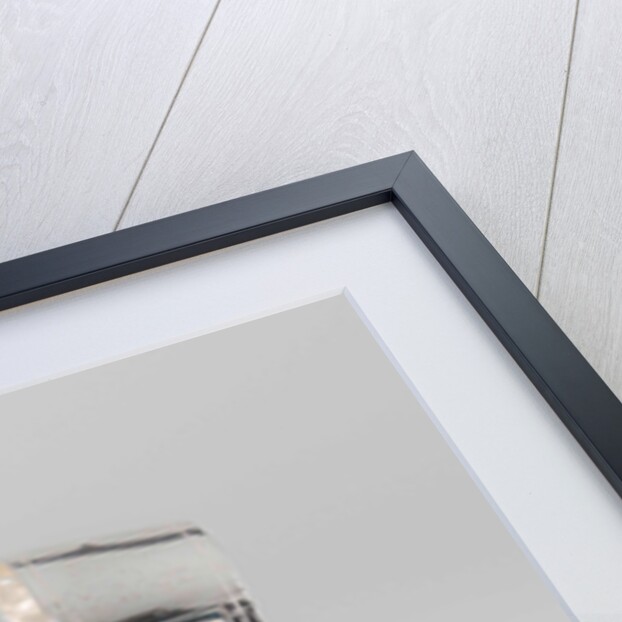 Coach by Arnoldus van Geffen