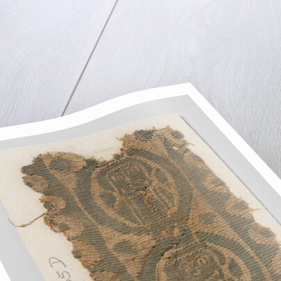 Tissue Fragment with clavus by Anonymous