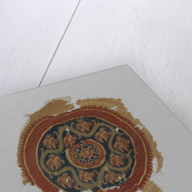 Tissue Fragment with orbiculus by Anonymous