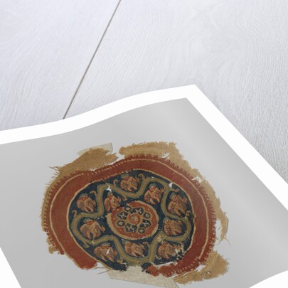 Tissue Fragment with orbiculus by Anonymous