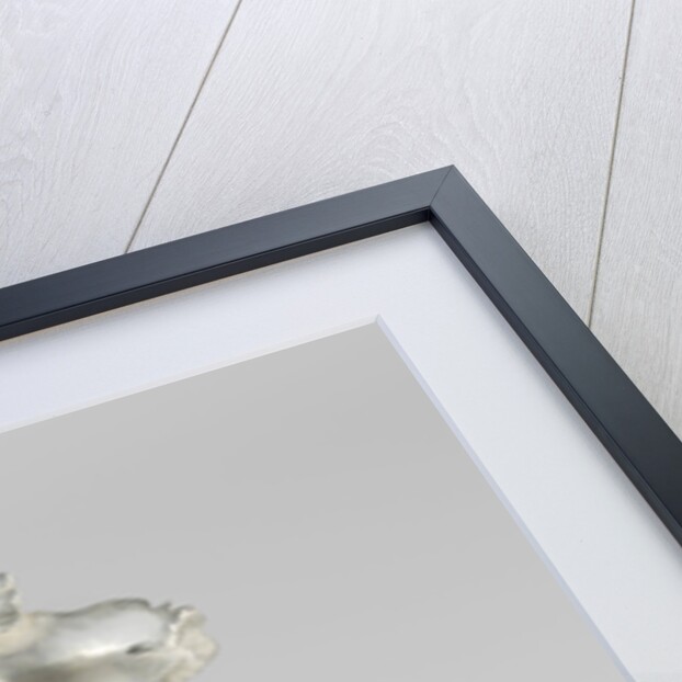 Dish on tripod by Frederik van Strant II