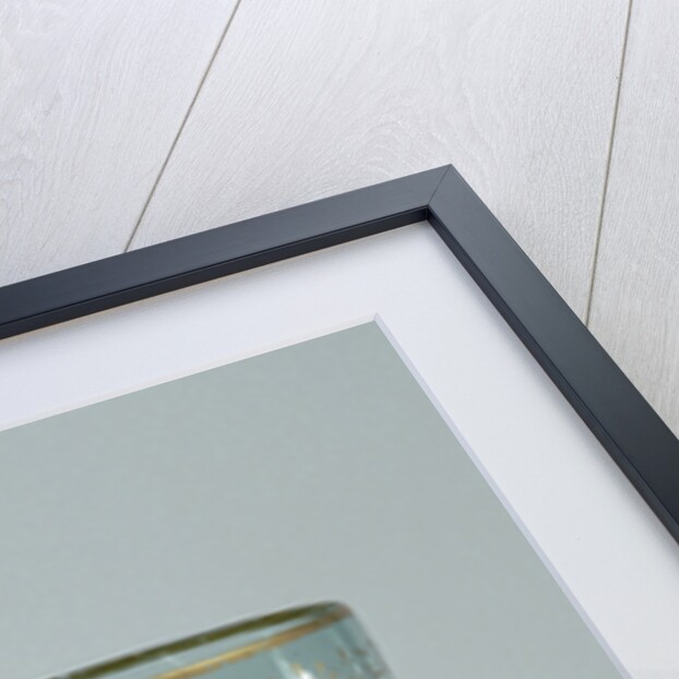 Roemer with the arms of Prince Maurice and the inscription: TANDEM.FIT. SVRCULUS ARBOR by Anonymous