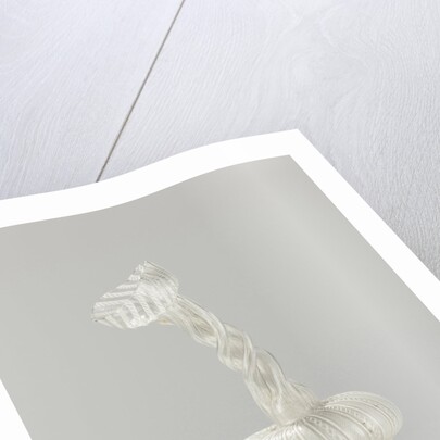 Kuttrolf of filigrein glass by Anonymous