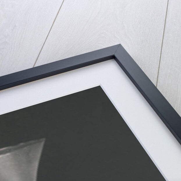 Wine glass with a hollow stem with five balls by Anonymous