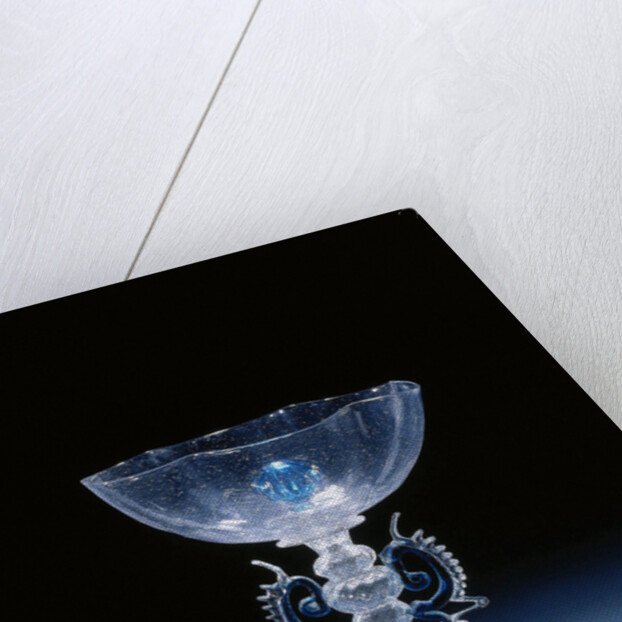 Wing Glass with six times lobed chalice by Anonymous