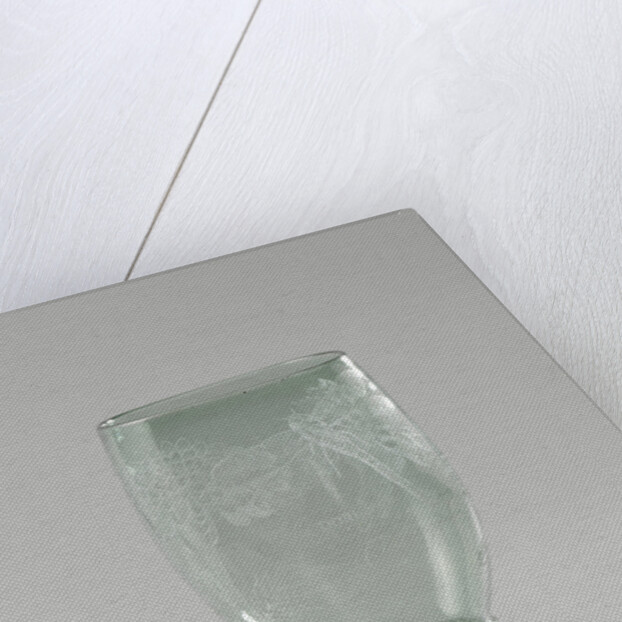 Rummer, Anonymous by Anna Roemers Visscher