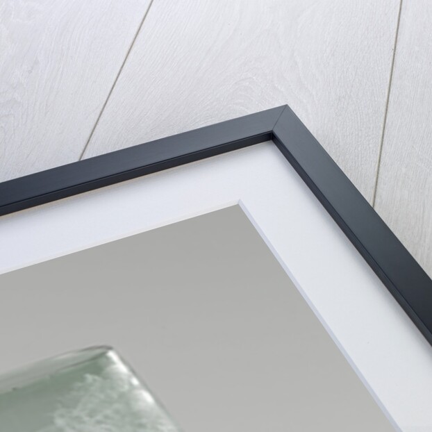 Rummer, Anonymous by Anna Roemers Visscher