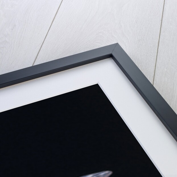 Chalice Glass with bell-shaped calyx with ribs by Anonymous