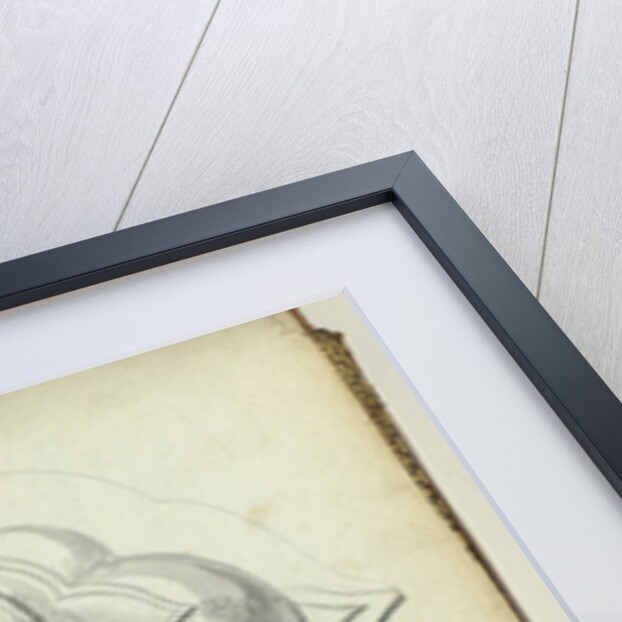 Foot drinking vessel of King of Candi by Jan Brandes