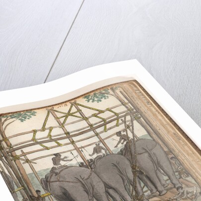 Elephants by Jan Brandes