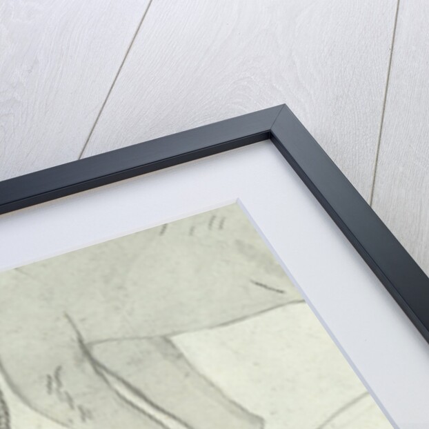 Young elephant by Jan Brandes