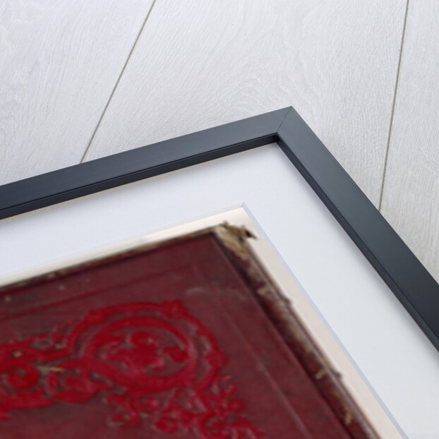 Album of Railways in the Netherlands Indies Indonesia, Carl Emanuel Friedrich Lang by Woodbury & Page