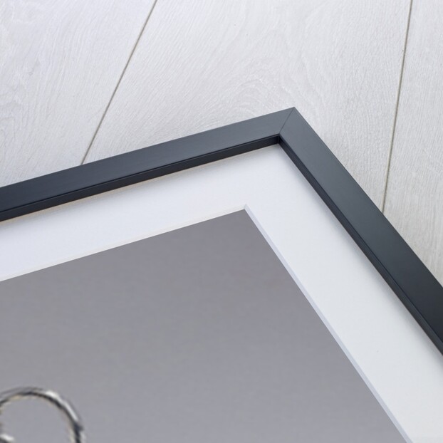 Tea and coffee service of J. D. Preuyt, farmer and mayor of Geervliet, given to him for his anniversary in 1873 by Anonymous