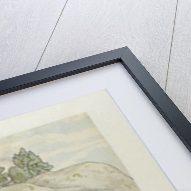 Sinhalese sanctuary in Ceylon Sri Lanka, Jan Brandes by Anonymous