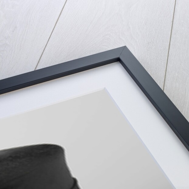 High hat S.J.P. Kruger by Box en Co Ltd Cooper