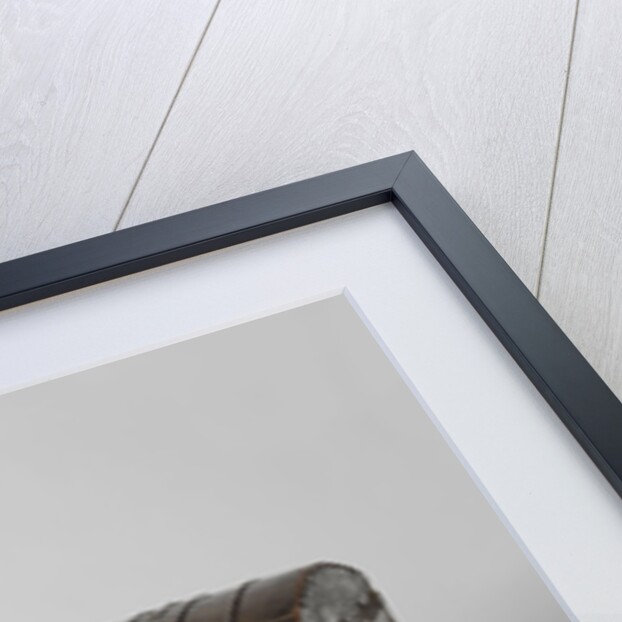 Book chest of Hugo Grotius by Anonymous