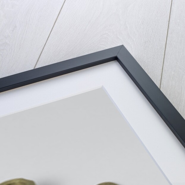 Seven metal woods for sheaves by Anonymous