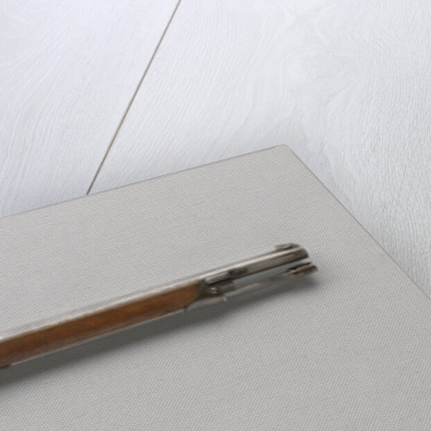 Rear Load Rifle, Snider system by P. Stevens