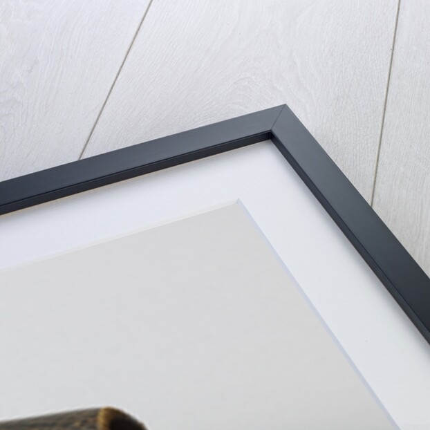 Battle Bag by Anonymous