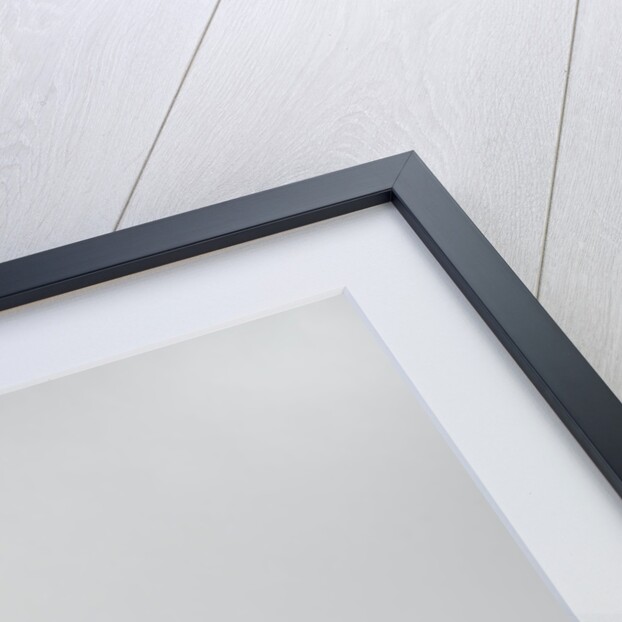 Model of the ramming ship Taurus 'ramtorenschip Stier' by Laird Brothers