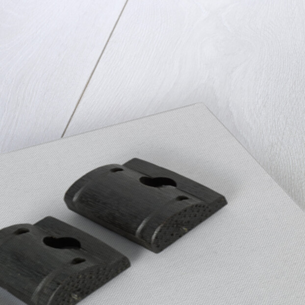 Fragments of three models of donkey heads by Anonymous