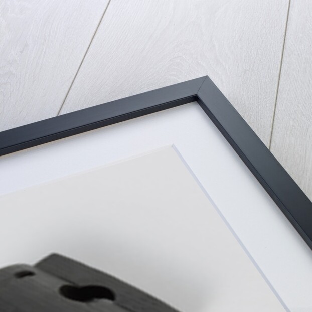 Fragments of three models of donkey heads by Anonymous