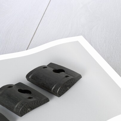 Fragments of three models of donkey heads by Anonymous