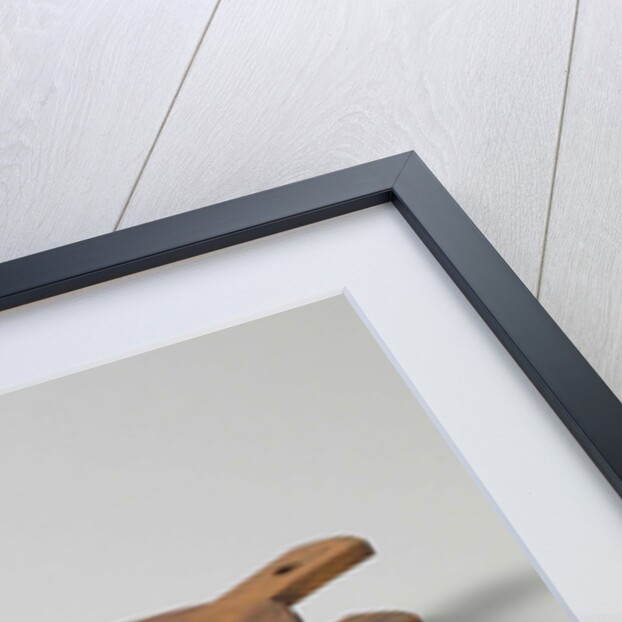 Bellow by J. Stone & Co.