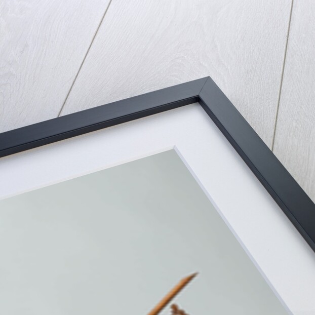 Ship by Joachim Pieter Asmus