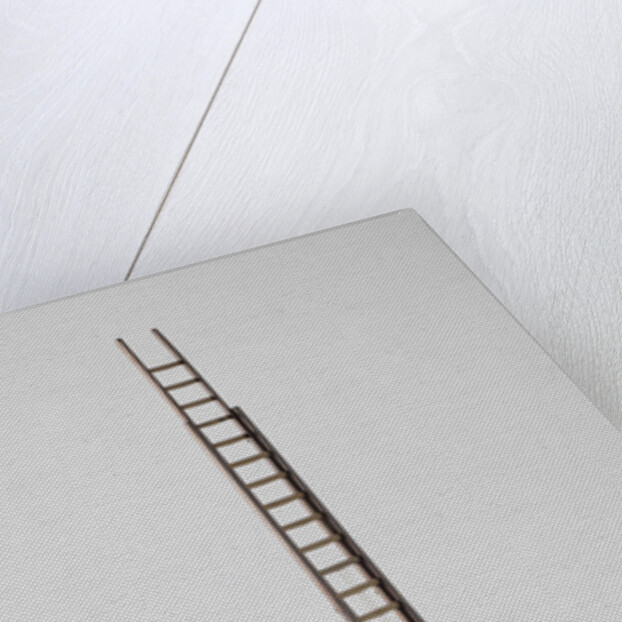 Model of a ladder by Petrus van der Loo