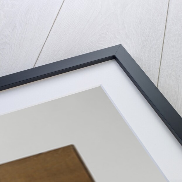 Box with forty-four wood samples from Suriname by Anonymous