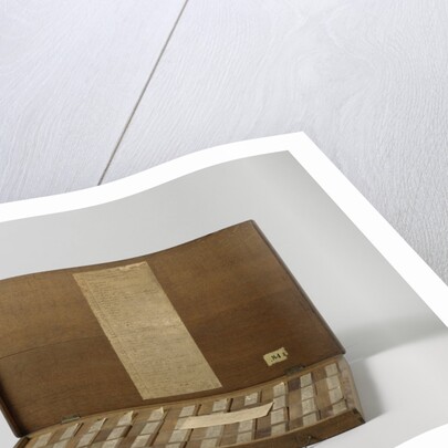 Box with forty-four wood samples from Suriname by Anonymous