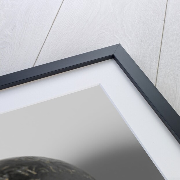 Bullet that C. J. Krayenhoff baron was shot in the abdomen by Anonymous