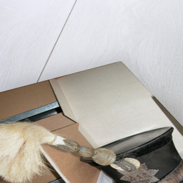 Sjako staff officer of militia. M, 1828, J. W. Kerkhoven by Anonymous