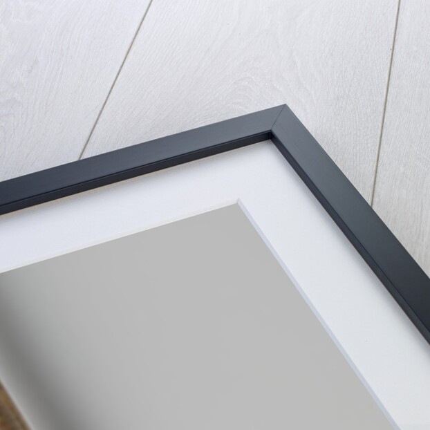 Walking stick or Johan van Barneveld by Anonymous