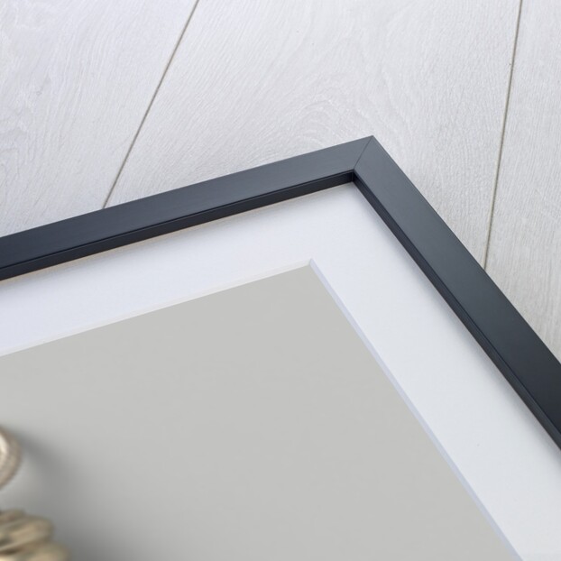 Siege of Leiden The Netherlands by Dirk Jacobsz.