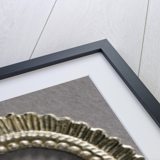 William V, Prince of Orange-Nassau by Anonymous