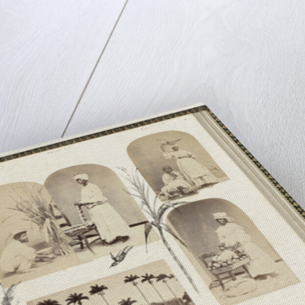 British Guiana, genre portrait women with fruit on dishes, bordered by drawing flora by Anonymous