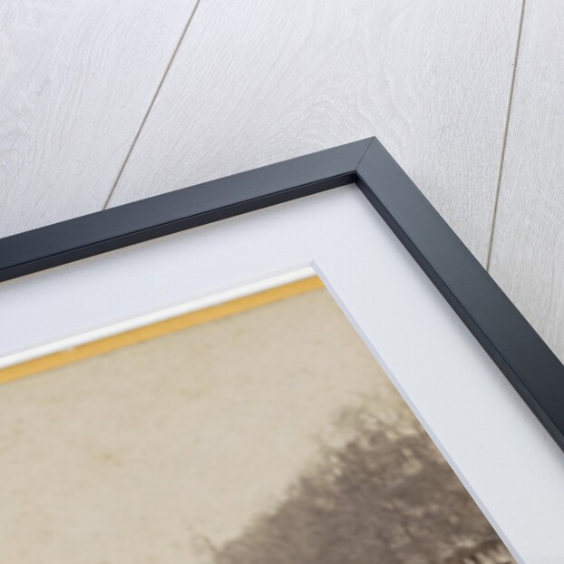 Cologne. Cathedral in 1863 by Adolphe Braun