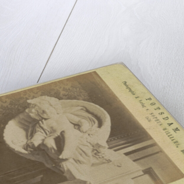 Neue Orangerie. Bacchus von Troschel by Sophus Williams