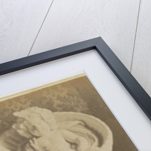 Neue Orangerie. Bacchus von Troschel by Sophus Williams