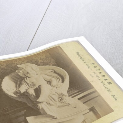 Neue Orangerie. Bacchus von Troschel by Sophus Williams