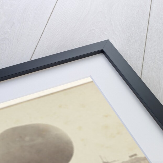 Nadars air balloon at Palace of Industry, Paleis voor Volksvlijt by Anonymous