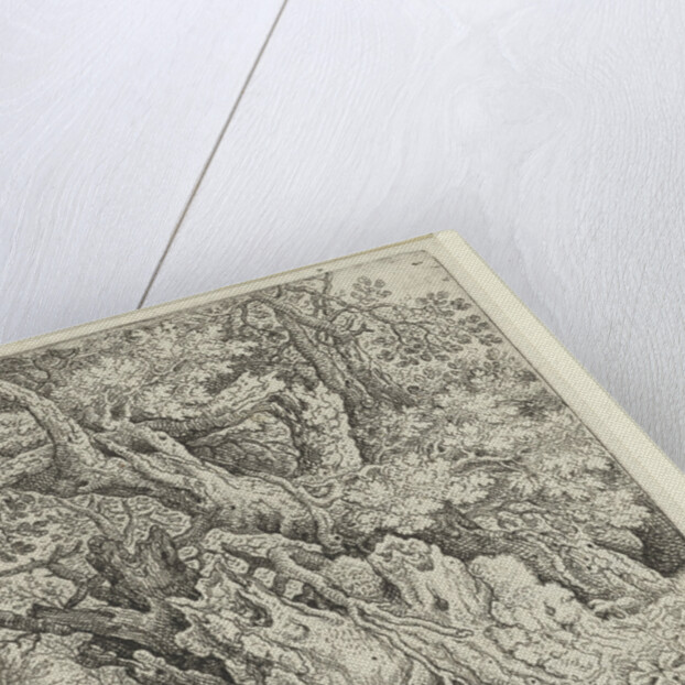 Gnarled Trees near the Water by Roelant Savery