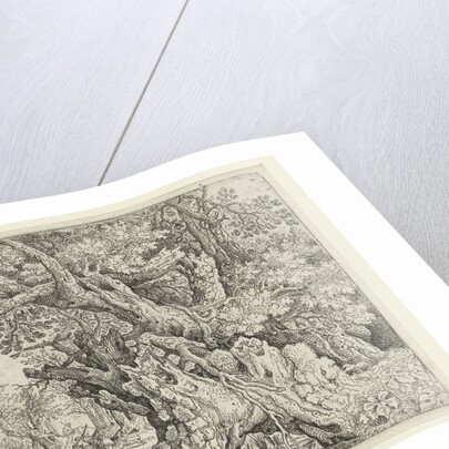 Gnarled Trees near the Water by Roelant Savery