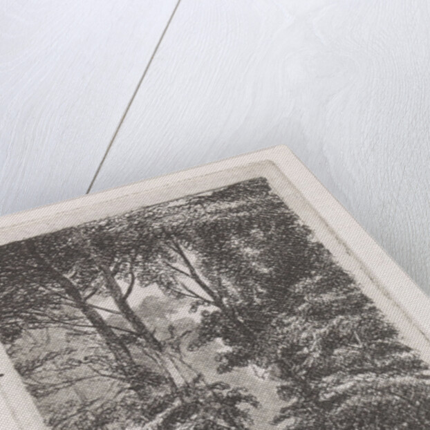 Forest avenue by Jacob Jan van der Maaten