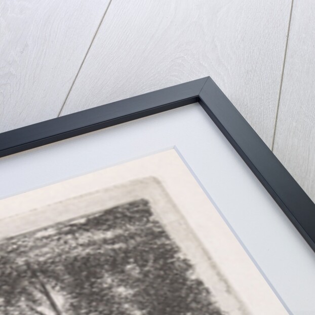 Forest avenue by Jacob Jan van der Maaten