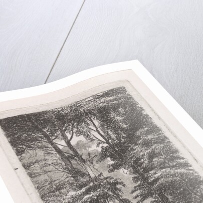 Forest avenue by Jacob Jan van der Maaten